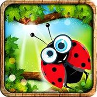 Ladybird Run