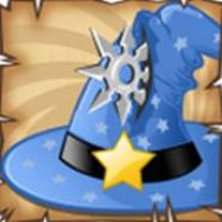 Ninja Wizard